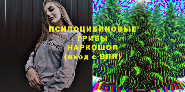 стафф Елабуга