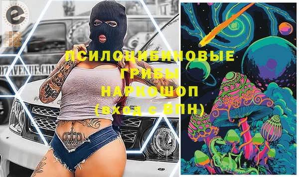 стафф Елабуга