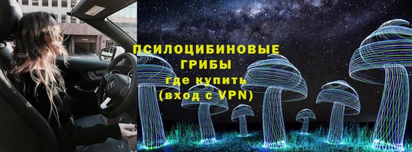 стафф Елабуга