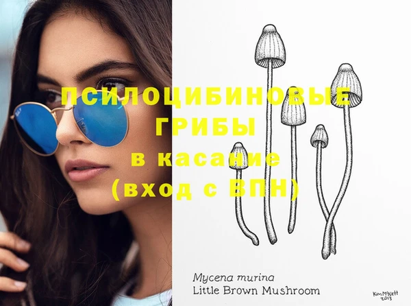 стафф Елабуга