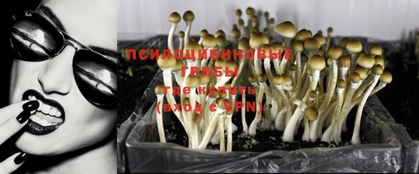 стафф Елабуга
